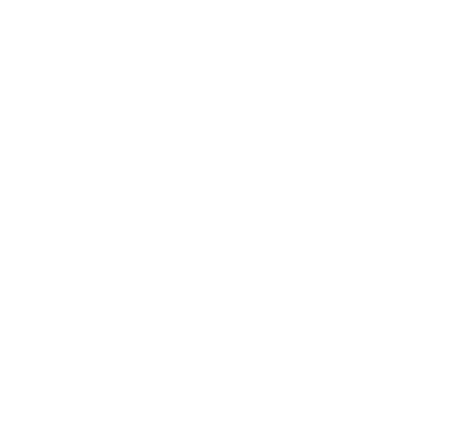 QiSS